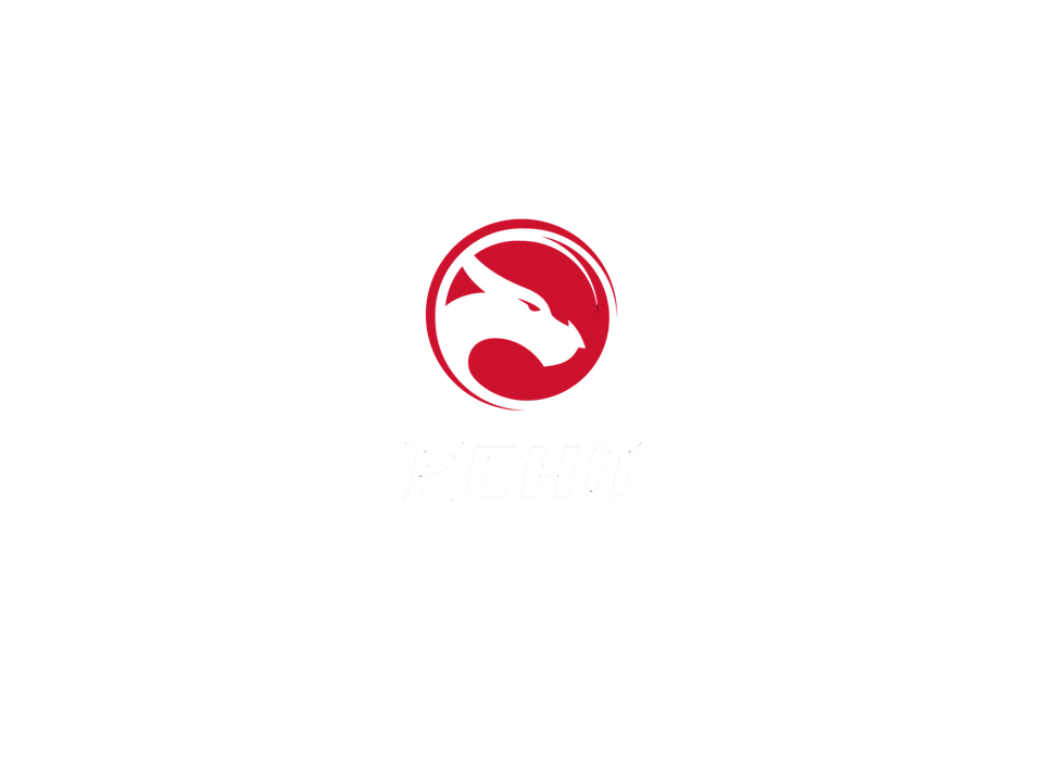 Echo logo on a dark cover