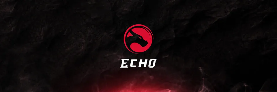 Echo dragon logo on a wide dark red stream banner